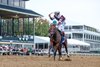 Emphatic (Nyquist) wins the Darley Alcibiades (G1) at Keeneland on 10.02.26. Tyler Gaffalione up, Brendan Walsh trainer,  Gainesway Stable (Antony Beck) and Andrew Rosen owners.