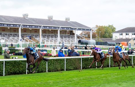 Giant Sequoia Soars to Futurity Trophy Victory