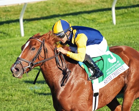 Sister Troienne Dominates the Valley View Stakes