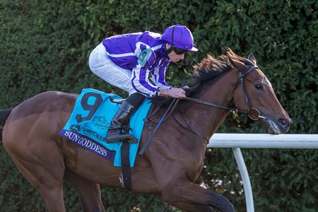 Sun Goddess wins the Breeders' Cup Juvenile Fillies Turf at Keeneland