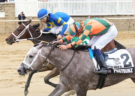 Piggybunz (inside) wins the Smart Halo Stakes at Laurel Park