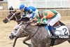 Piggybunz wins the 2026 Smart Halo Stakes at Laurel Park
