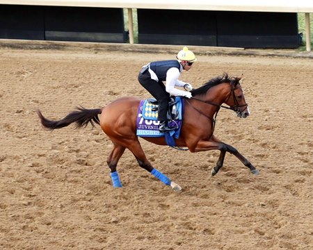 Hughes trains at Keeneland