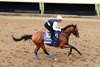 Hughes - Gallop - Keeneland Race Course - 102826