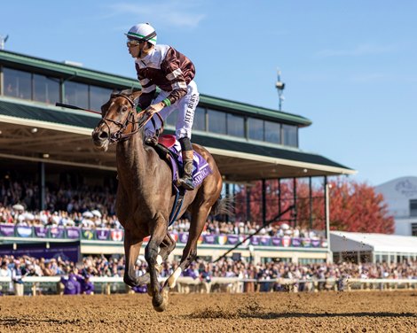Emphatic Stays Undefeated in BC Juvenile Fillies