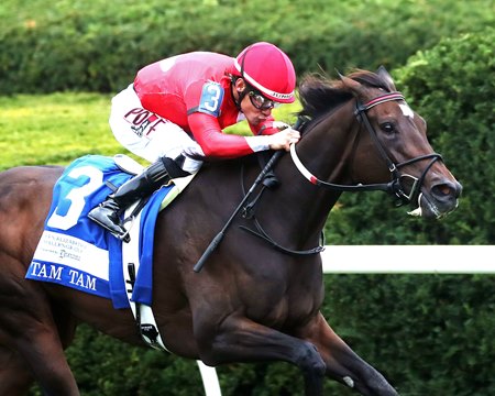 Tam Tam, a daughter of Medaglia d'Oro, wins the Queen Elizabeth II Challenge Cup Stakes at Keeneland