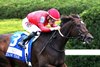 Tam Tam wins the 2026 Queen Elizabeth II Challenge Cup Stakes at Keeneland