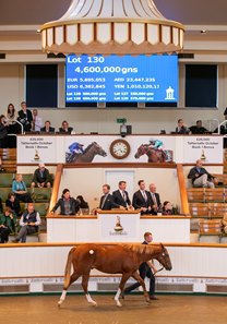 The Night of Thunder colt consigned as Lot 130 makes history, selling for 4,600,000 guineas at the Tattersalls October Yearling Sale