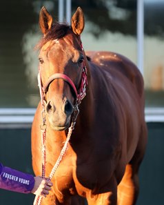 Forever Young at Belmont park