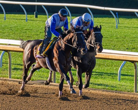 Sovereignty breezes outside of Thunder Roll at Keeneland