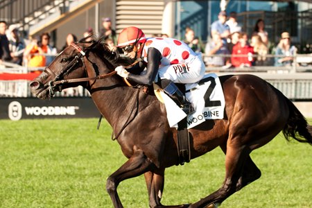 Victory Achieved cruises in the Nearctic Stakes at Woodbine