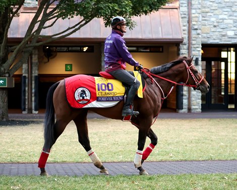 BC Classic Holds the Key to Horse of the Year Honors