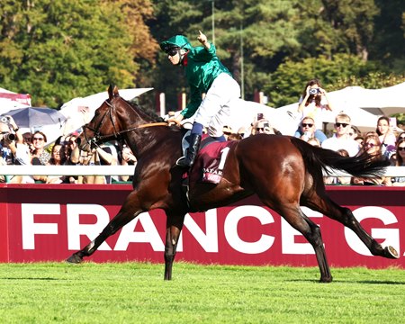 Daryz wins a second consecutive running of Prix de l'Arc de Triomphe at ParisLongchamp