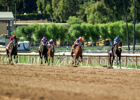 Domain Expansion Breaks Maiden in Oak Leaf