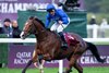 Ombudsman (William Buick) wins the Champion Stakes
Ascot 17.10.26 Pic: Edward Whitaker