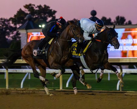 Golden Tempo (rail) works Oct. 23 at Keeneland