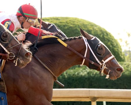 Dr. Kapur gets his neck in front at the wire to win the Perryville Stakes at Keeneland