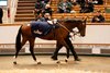 Lot 1155E  Tyrrhenian Thunder (GB) 2024 B.C. BY Night of Thunder (IRE) EX Birdie Num Num (GB) Wildcard   98pHITConsign Ltd.Ciaran Maher Bloodstock / JS Bloodstock600,000 Tattersalls Autumn HIT Sale 28/10/2026