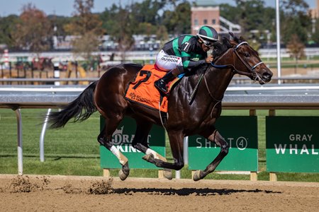 Mystik Bayou breaks his maiden at Belmont Park