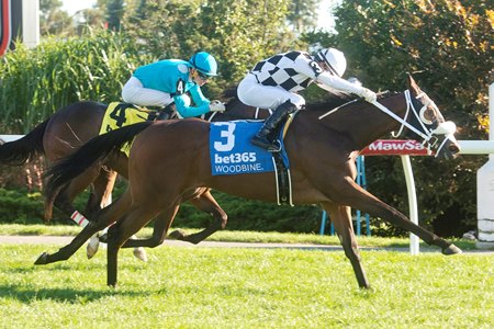 Mrs D wins the Algonquin Stakes at Woodbine