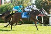 Mrs D wins the 2026 Algonquin Stakes at Woodbine