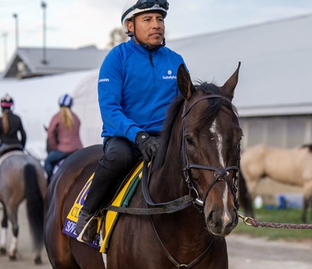 Jimmy Quispe guides Sovereignty to the track at Keeneland