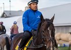 Sovereignty going out for a gallop at Keeneland Race Track before the Breeders' Cup weekend Oct. 28, 2026 in Lexington, Kentucky.  Photo by Skip Dickstein