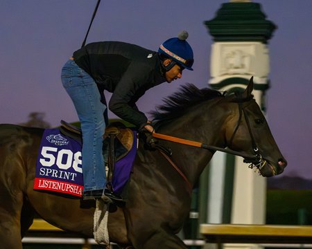 Listenupshance trains for the Breeders' Cup Sprint at Keeneland