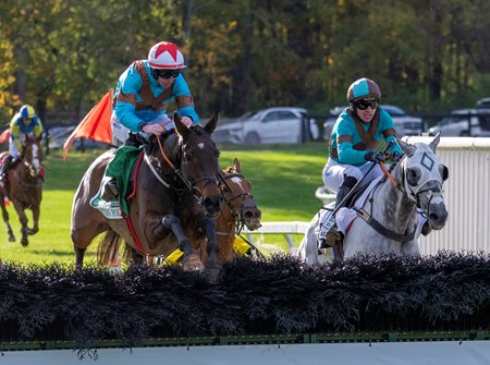 Western Fold jumps the final fence en route to victory in the American Grand National Hurdle Stakes at Far Hills
