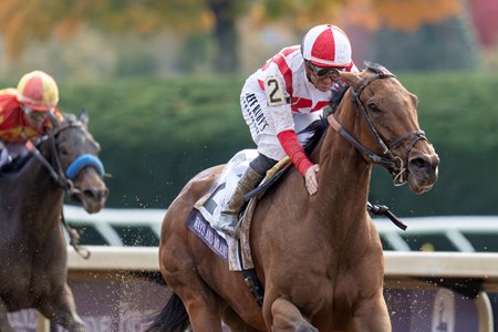 Ways and Means receives an affectionate gesture from Flavien Prat after their dominating victory in the Breeders' Cup Filly and Mare Sprint at Keeneland