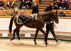 Lot 739A  Victoire Magique (GB) 2023 B.C. BY Victor Ludorum (GB) EX Purple Magic (GB)   107HITAmy Murphy RacingNajd Stud/Archdale Bloodstock450,000 Tattersalls Autumn HIT Sale 27/10/2026