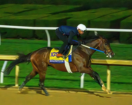 Magnitude works 5 furlongs at Keeneland in preparation for the Breeders' Cup Classic