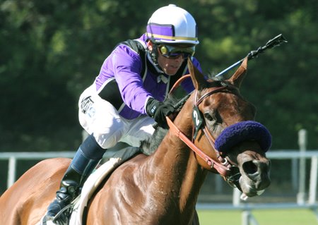 Willow O Wisp wins the 2006 Cinema Breeders' Cup Handicap at Hollywood Park