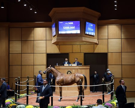 The Authentic colt consigned as Hip 1498 in the ring at the Fasig-Tipton October Yearlings Sale